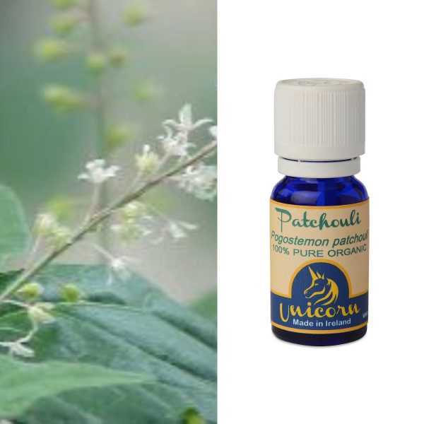 Patchouli Organic